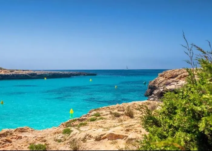 Precioso Bon Respos 8 *